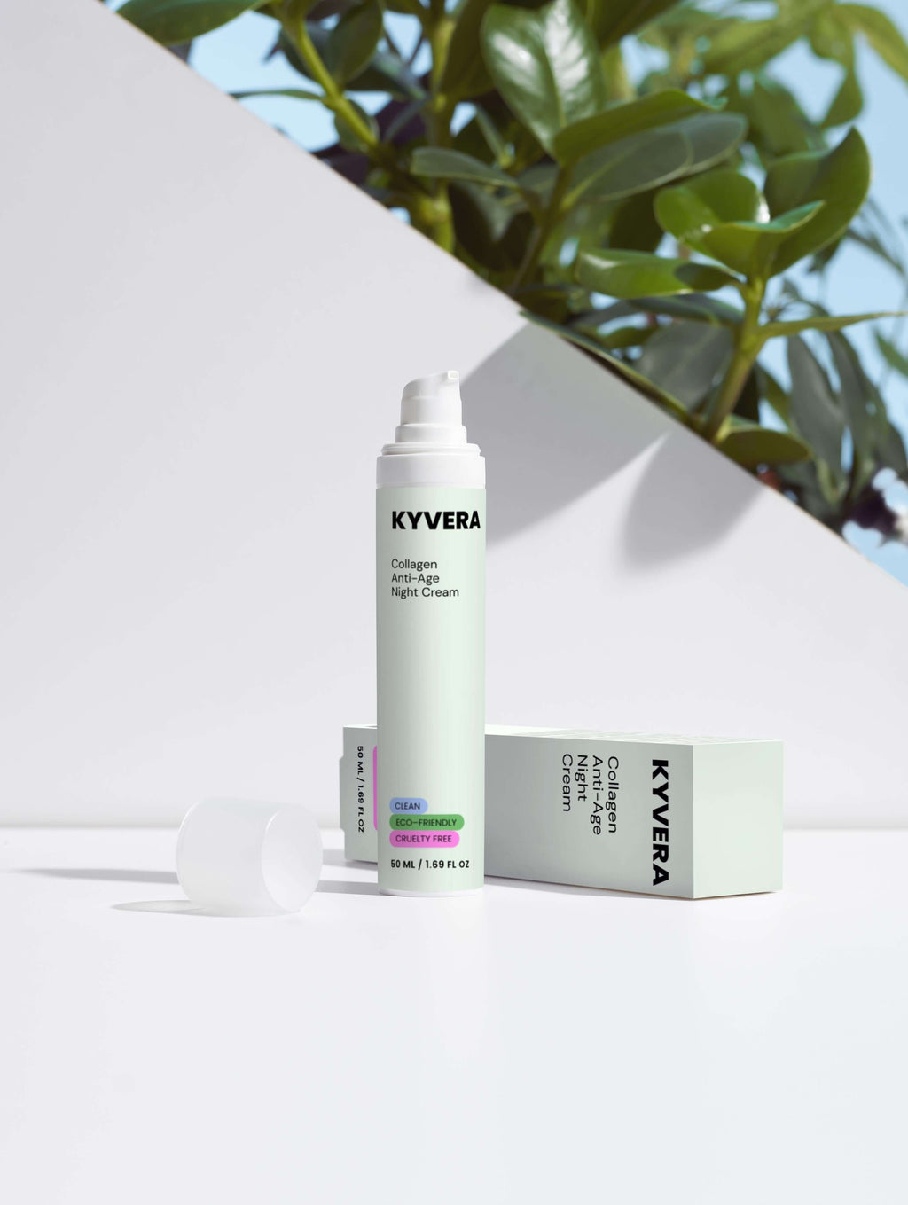 Collagen Anti-Age Night Cream bottle and box against a minimalist background with green leaves.
